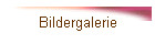 Bildergalerie